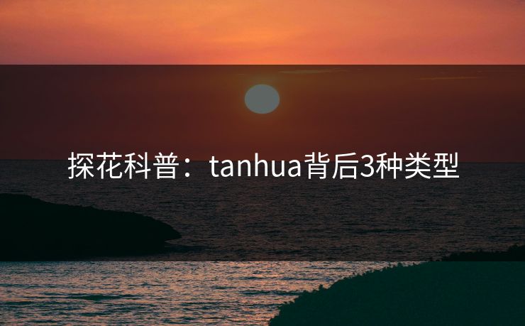 探花科普：tanhua背后3种类型