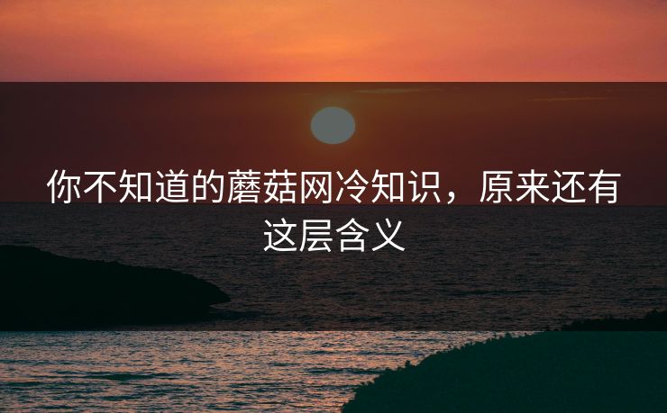 你不知道的蘑菇网冷知识，原来还有这层含义