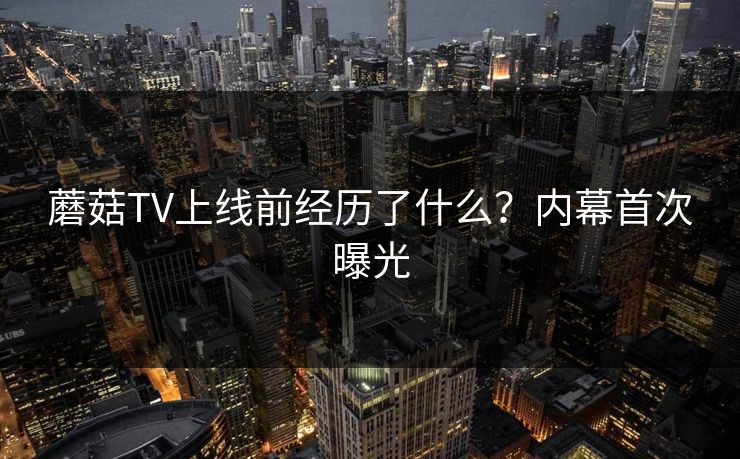 蘑菇TV上线前经历了什么？内幕首次曝光