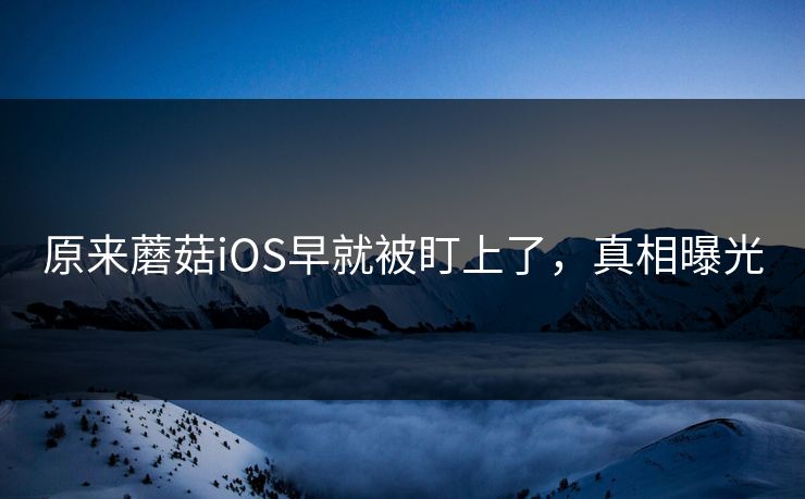 原来蘑菇iOS早就被盯上了，真相曝光