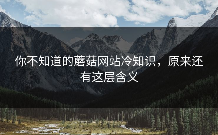 你不知道的蘑菇网站冷知识，原来还有这层含义
