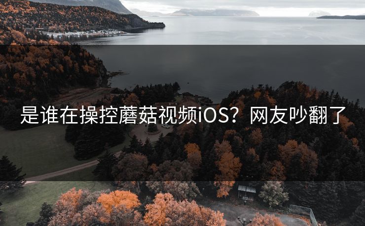 是谁在操控蘑菇视频iOS？网友吵翻了