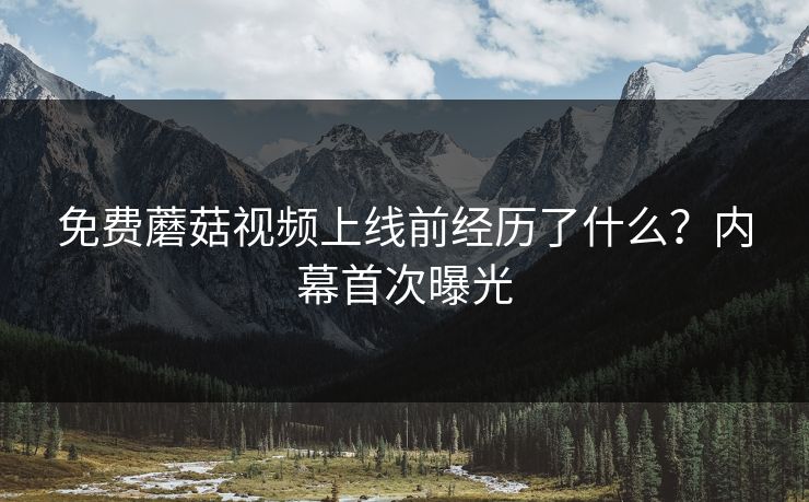 免费蘑菇视频上线前经历了什么？内幕首次曝光