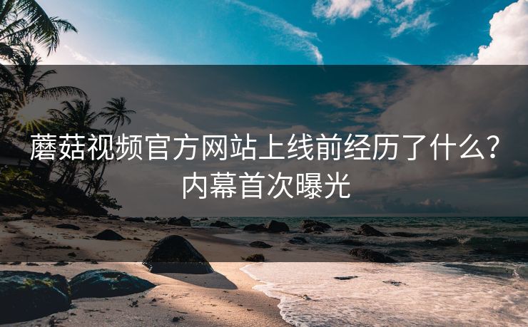 蘑菇视频官方网站上线前经历了什么？内幕首次曝光