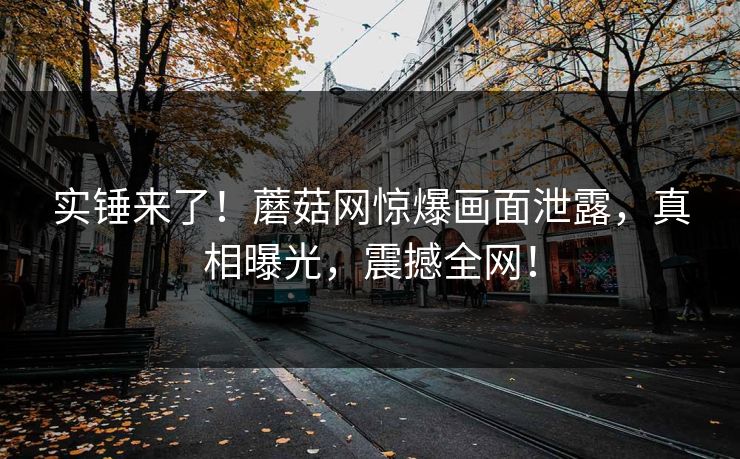 实锤来了！蘑菇网惊爆画面泄露，真相曝光，震撼全网！