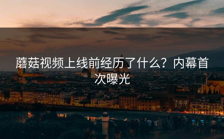 蘑菇视频上线前经历了什么？内幕首次曝光