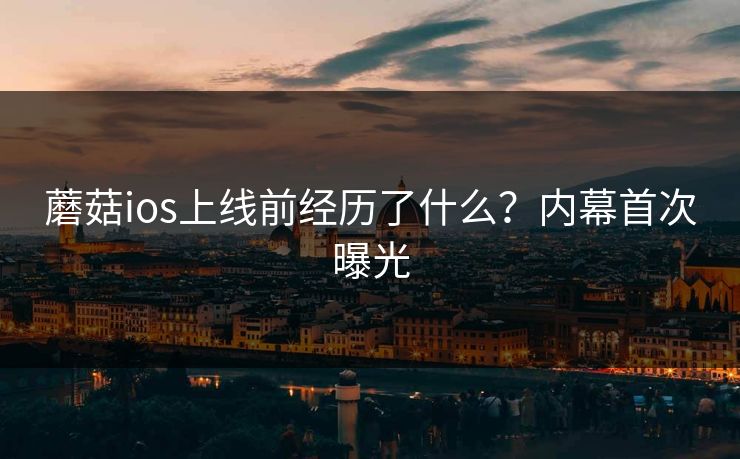 蘑菇ios上线前经历了什么？内幕首次曝光