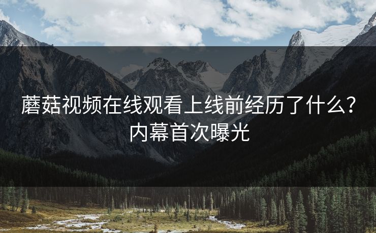 蘑菇视频在线观看上线前经历了什么？内幕首次曝光