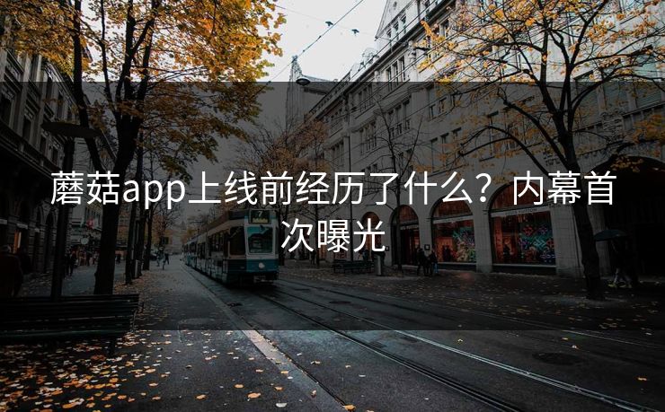 蘑菇app上线前经历了什么？内幕首次曝光