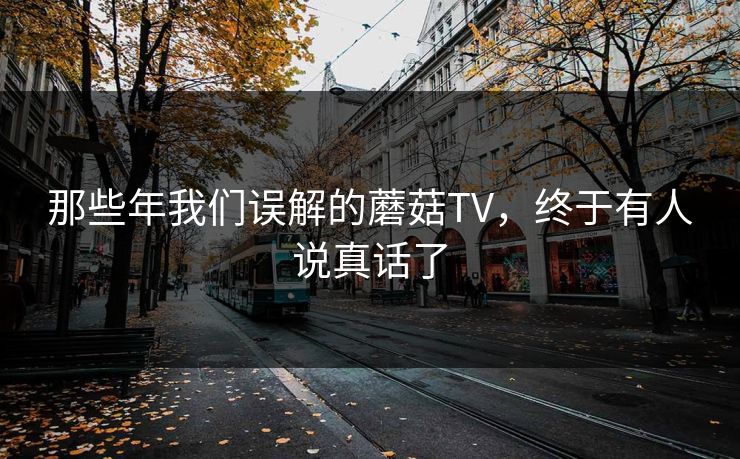 那些年我们误解的蘑菇TV，终于有人说真话了