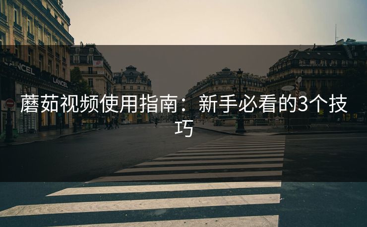 蘑茹视频使用指南：新手必看的3个技巧