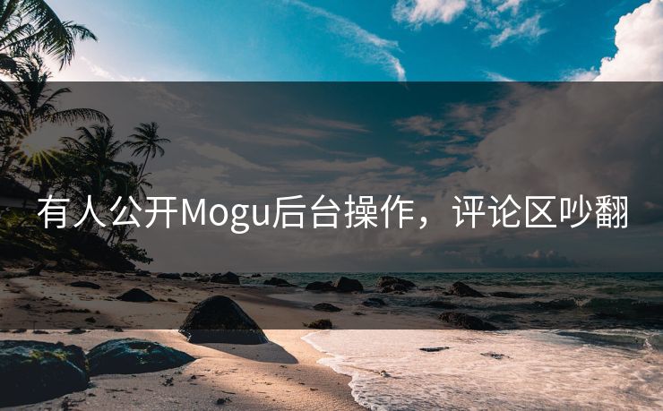 有人公开Mogu后台操作，评论区吵翻