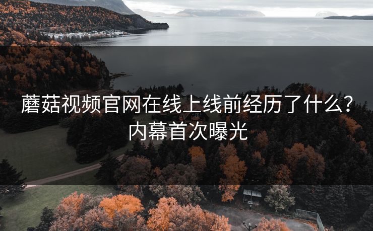 蘑菇视频官网在线上线前经历了什么？内幕首次曝光