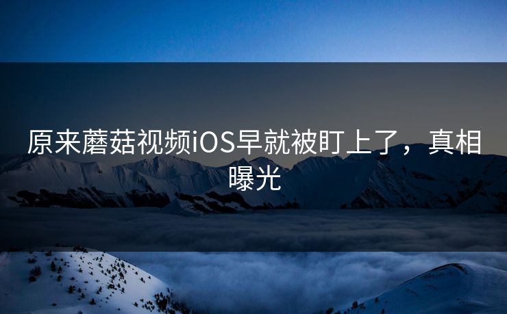 原来蘑菇视频iOS早就被盯上了，真相曝光