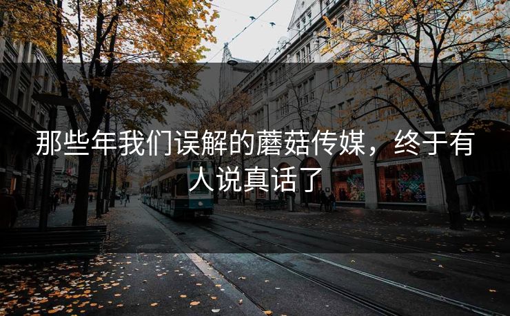 那些年我们误解的蘑菇传媒，终于有人说真话了