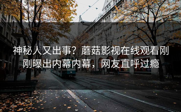 神秘人又出事？蘑菇影视在线观看刚刚曝出内幕内幕，网友直呼过瘾