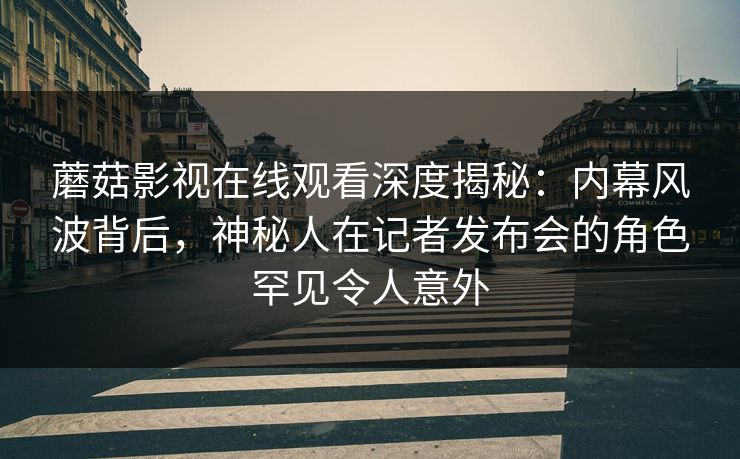 蘑菇影视在线观看深度揭秘：内幕风波背后，神秘人在记者发布会的角色罕见令人意外
