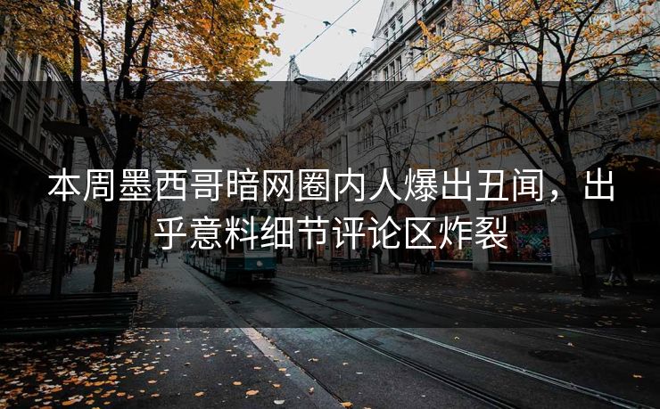本周墨西哥暗网圈内人爆出丑闻，出乎意料细节评论区炸裂