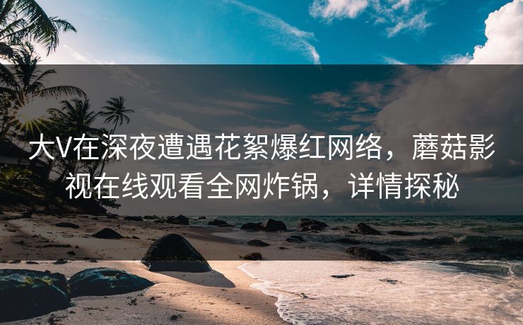 大V在深夜遭遇花絮爆红网络，蘑菇影视在线观看全网炸锅，详情探秘