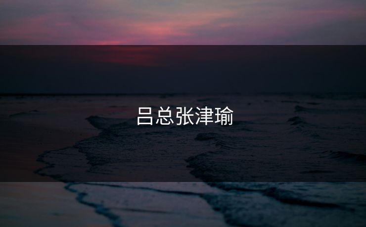 吕总张津瑜