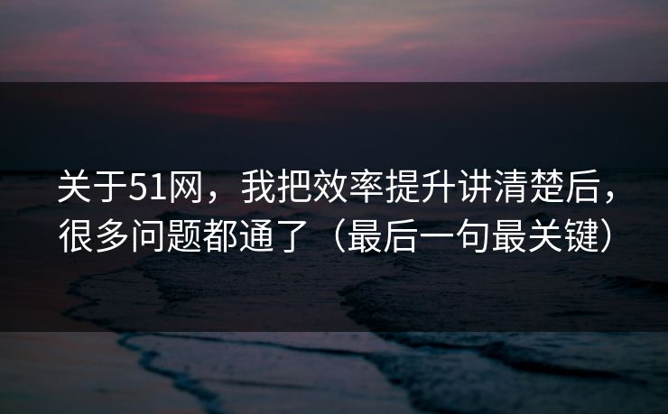 关于51网，我把效率提升讲清楚后，很多问题都通了（最后一句最关键）